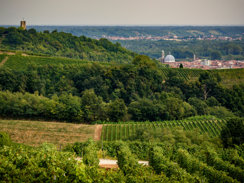 Gattinara_Arch. Fot. ATL Terre dell'Alto Piemonte