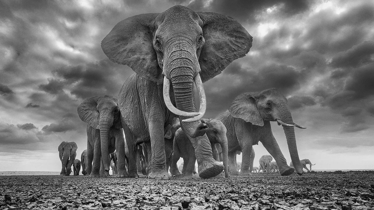 LOOP apre a Milano: la fotografia di Chris Fallows inaugura un nuovo spazio per l'immagine contemporanea