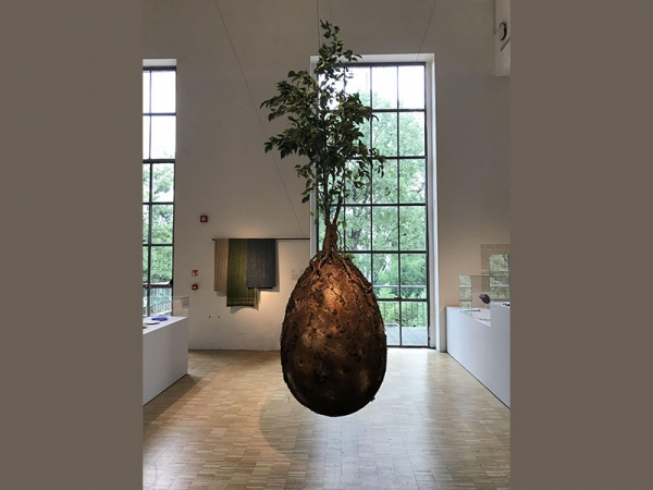 Capsula Mundi. Il progetto di Citelli e Bretzel vuole rivoluzionare il paesaggio cittadino proponendo una capsula biodegradabile in cui seppellire i defunti: un bosco al posto del cimitero.|||