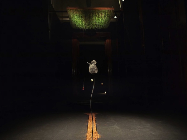 ph Ivan Nocera &ndash; ag Cubo|||