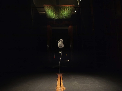 ph Ivan Nocera &ndash; ag Cubo|||