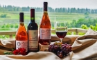 vino novello 2017|||