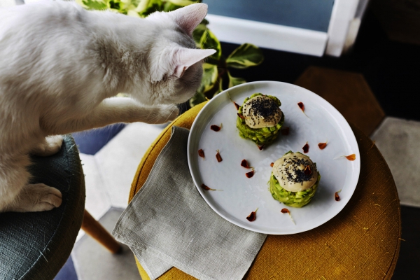 Romeow Cat Bistrot: le nuove specialit&agrave; plant based e i piatti chetogenici vegani|||