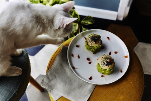 Romeow Cat Bistrot: le nuove specialit&agrave; plant based e i piatti chetogenici vegani|||