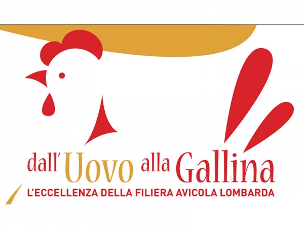 Dall&rsquo;uovo alla gallina: la filiera avicola lombarda|||