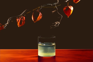 Drink Kong - New Humans|||